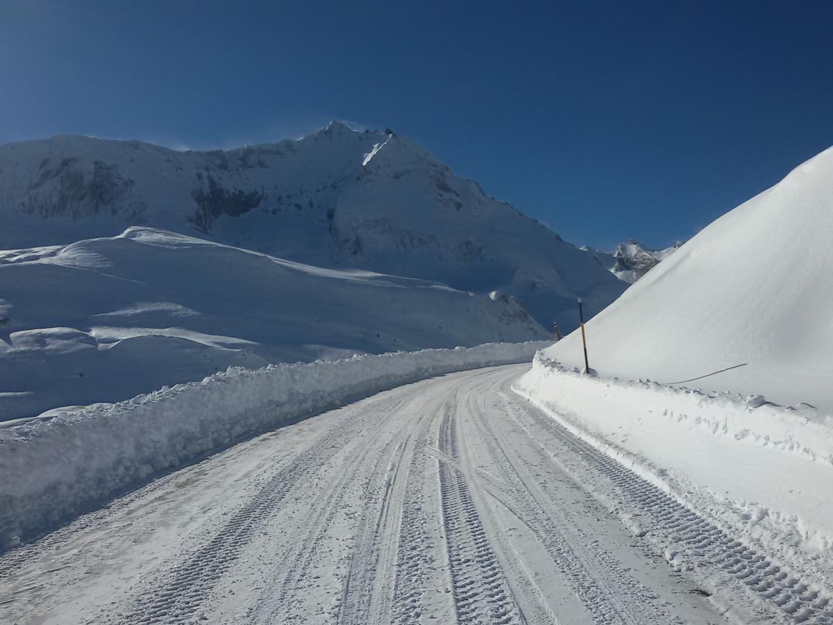Gite Chalet Du Soulor Arrens-Marsous Eksteriør billede