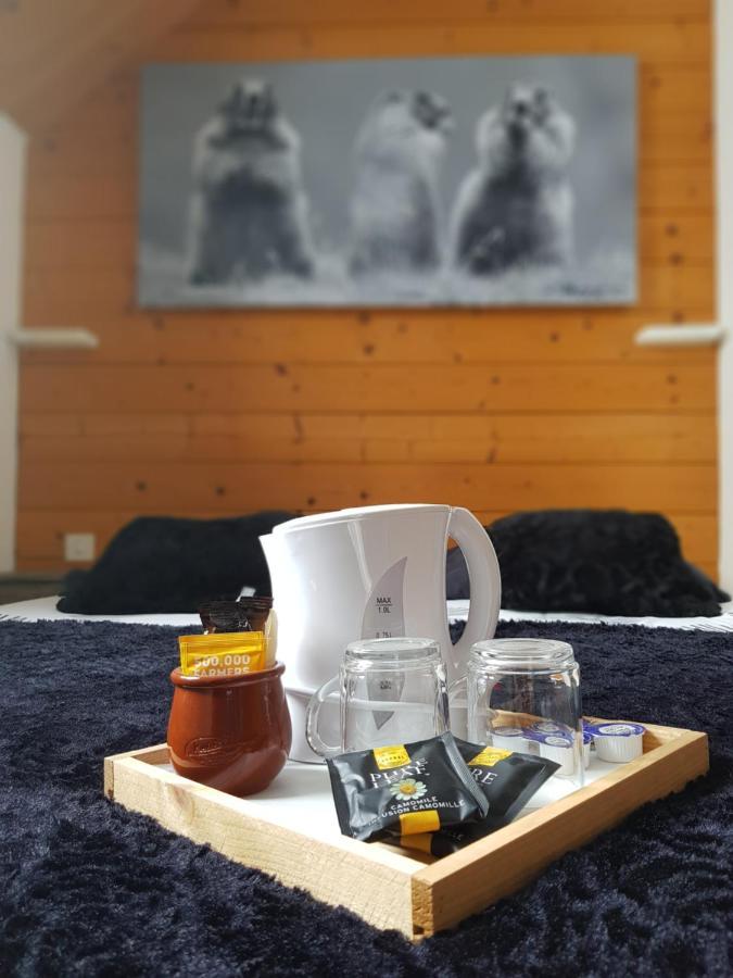 Gite Chalet Du Soulor Arrens-Marsous Eksteriør billede